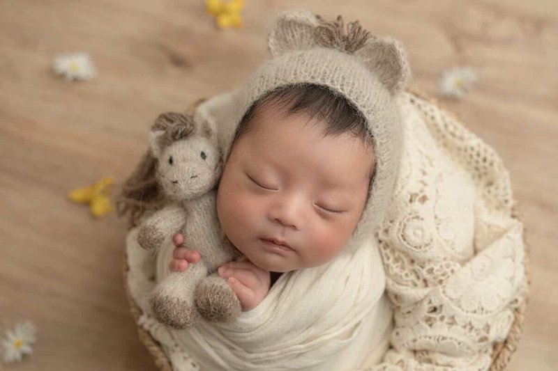 新生儿摄影道具 小马套组 - 婴儿饰品 - 羊毛 