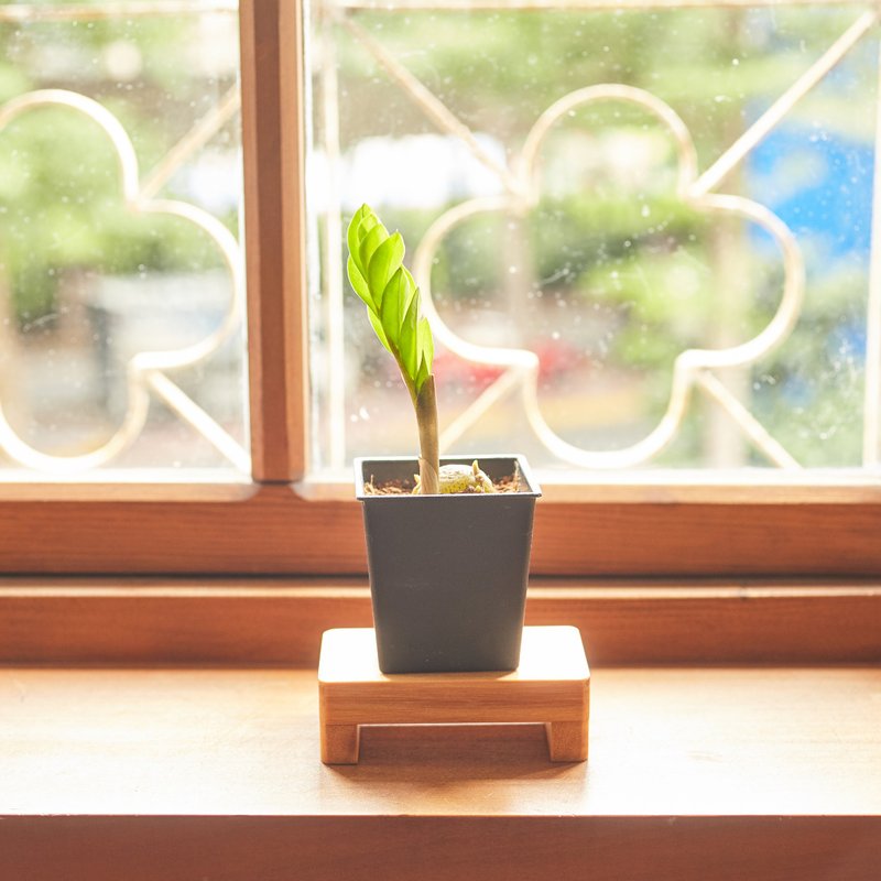 小植栽花台(不含植栽) - 花瓶/陶器 - 木头 橘色