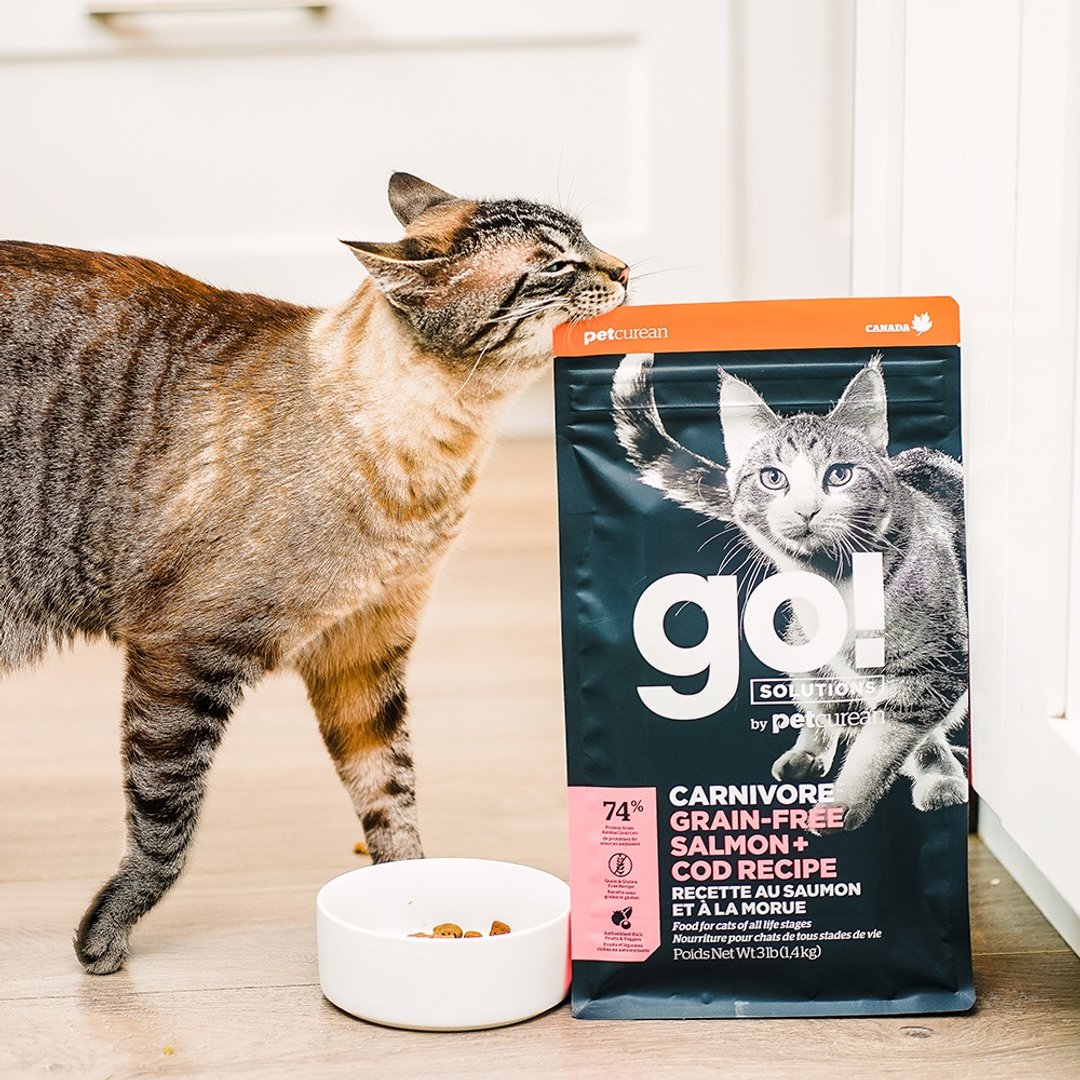 【猫主食】go! 海洋鲑鳕全猫 高肉量系列 无谷 猫饲料 - 猫罐头/鲜食 - 新鲜食材 