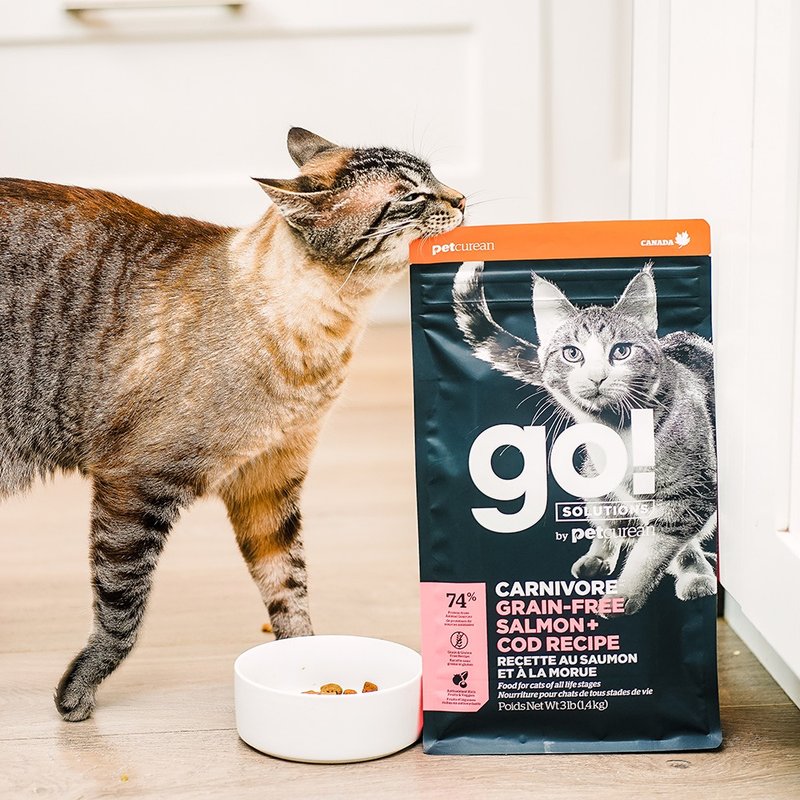 【猫主食】go! 海洋鲑鳕全猫 高肉量系列 无谷 猫饲料 - 猫罐头/鲜食 - 新鲜食材 