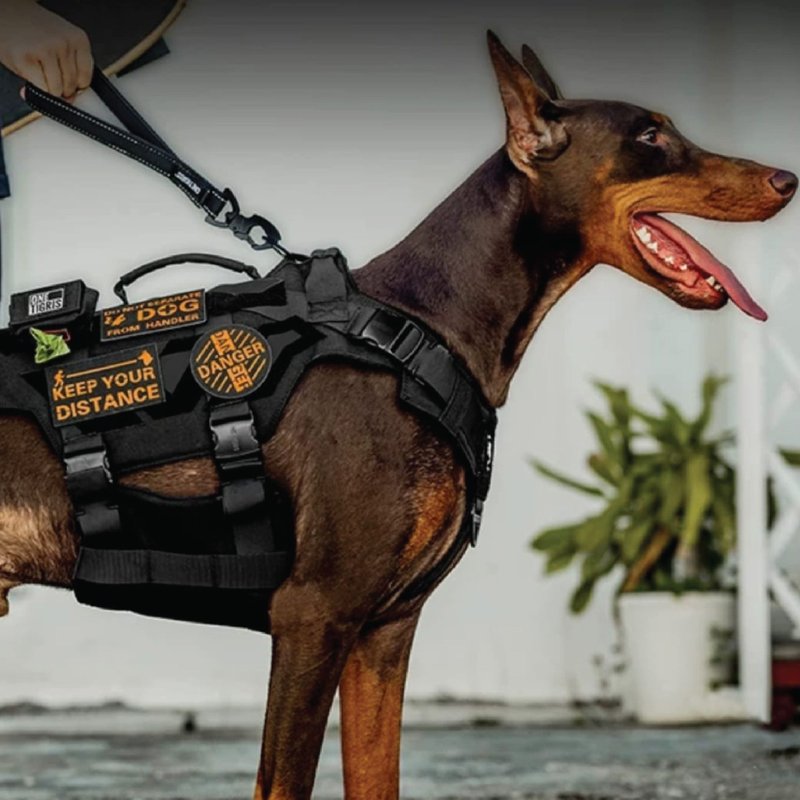 OneTigris 战术短拖带 - 项圈/牵绳 - 尼龙 黑色