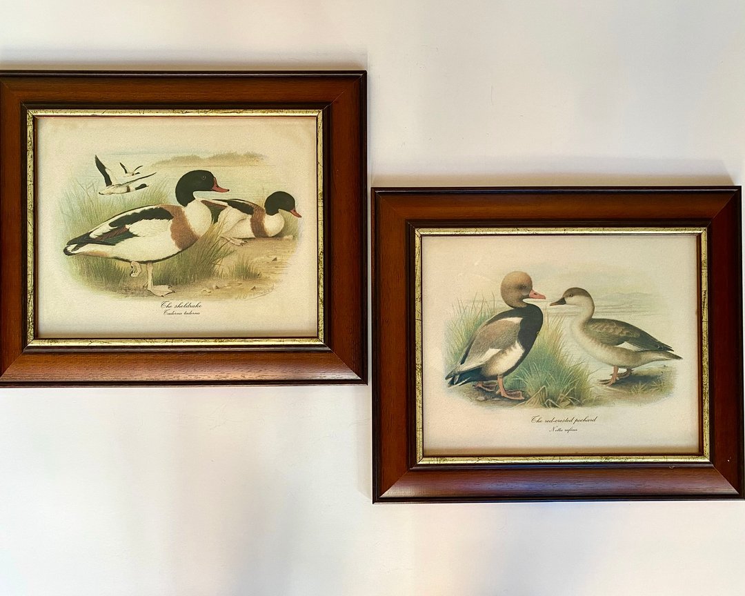 复古艺术一对鸭子版画 1980 年签名野鸭镶框比利时 - 画框/相框 - 木头 多色