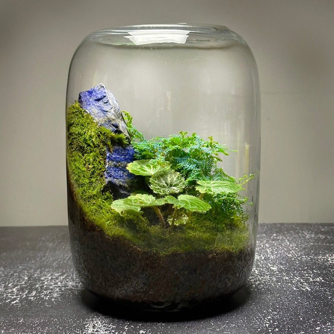 矿石风水生态缸 - 彩墨山水 / 青金石 - 植栽/盆栽 - 植物．花 