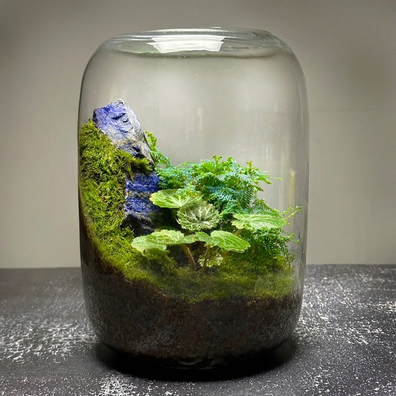 矿石风水生态缸 - 彩墨山水 / 青金石 - 植栽/盆栽 - 植物．花 