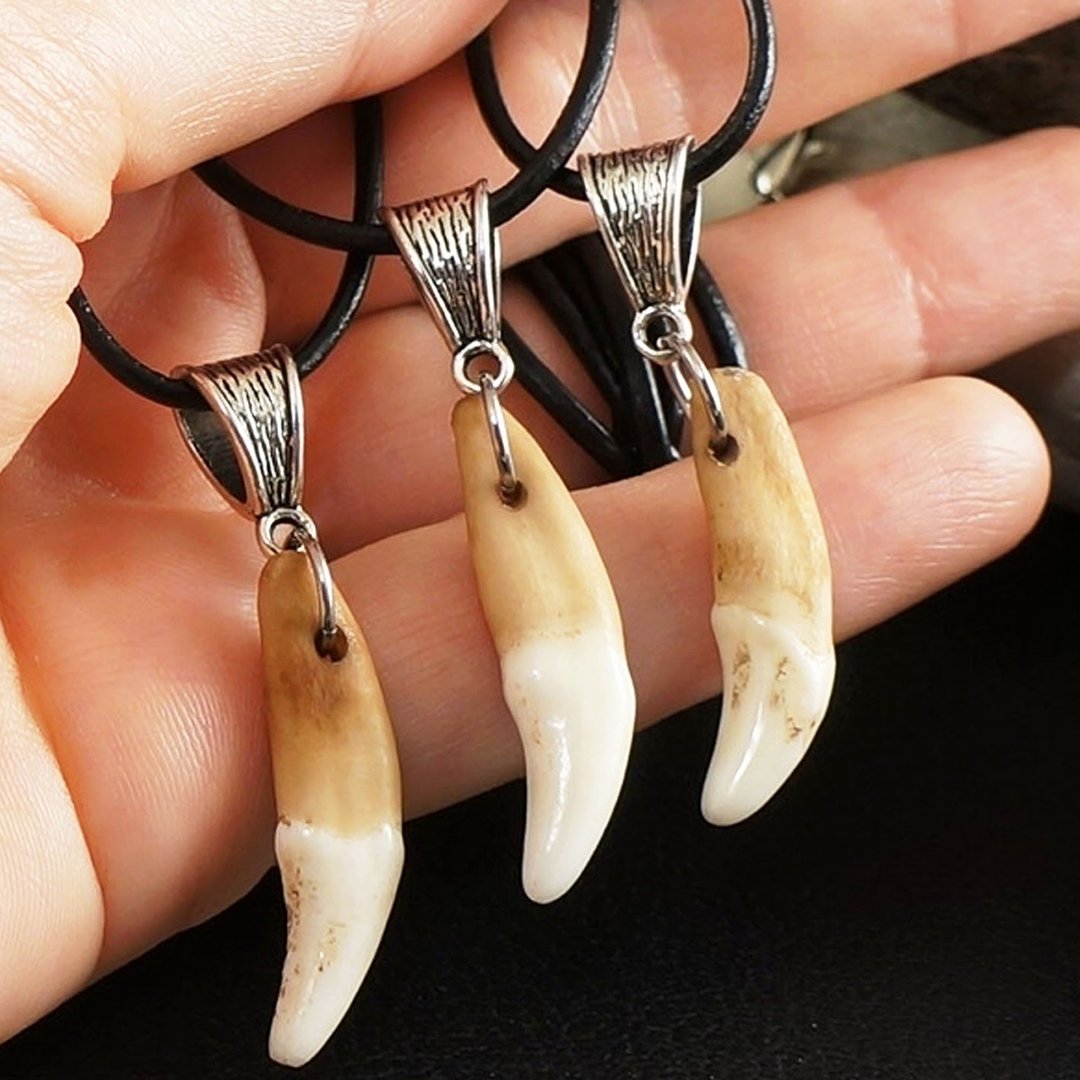 真实狼牙项链 浅米色 狼牙 獠牙 牙齿 吊坠项链 饰品 - 项链 - 其他材质 咖啡色