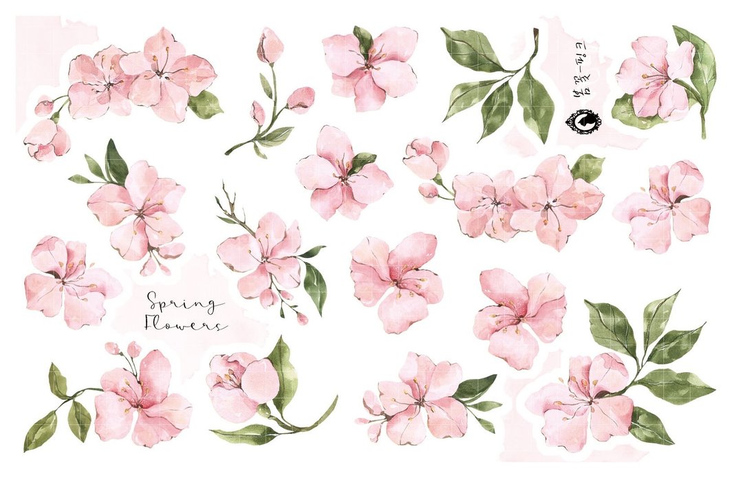 春日花语 - 粉色 - 纸质 / 白墨PET (蓝狮子) (suyeon) - 贴纸 - 纸 粉红色
