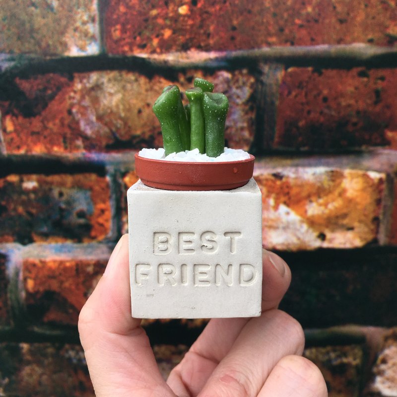 Best friend 超级好朋友。多肉磁铁盆栽 - 植栽/盆栽 - 水泥 灰色