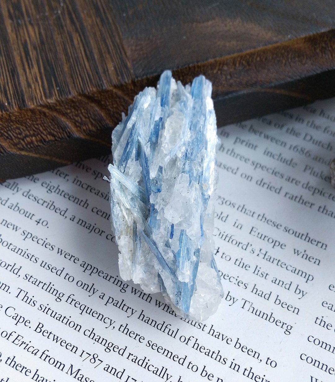 Kyanite 巴西产地 蓝晶石 石英共生矿 天然矿石 原矿 - 摆饰 - 其他材质 