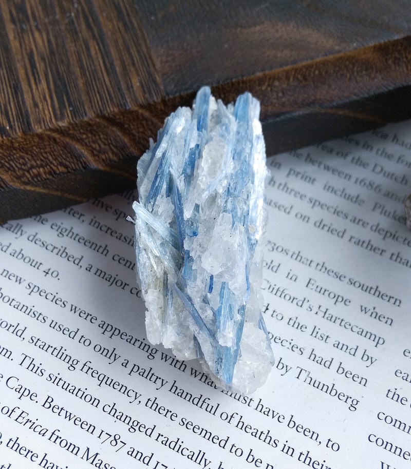 Kyanite 巴西产地 蓝晶石 石英共生矿 天然矿石 原矿 - 摆饰 - 其他材质 