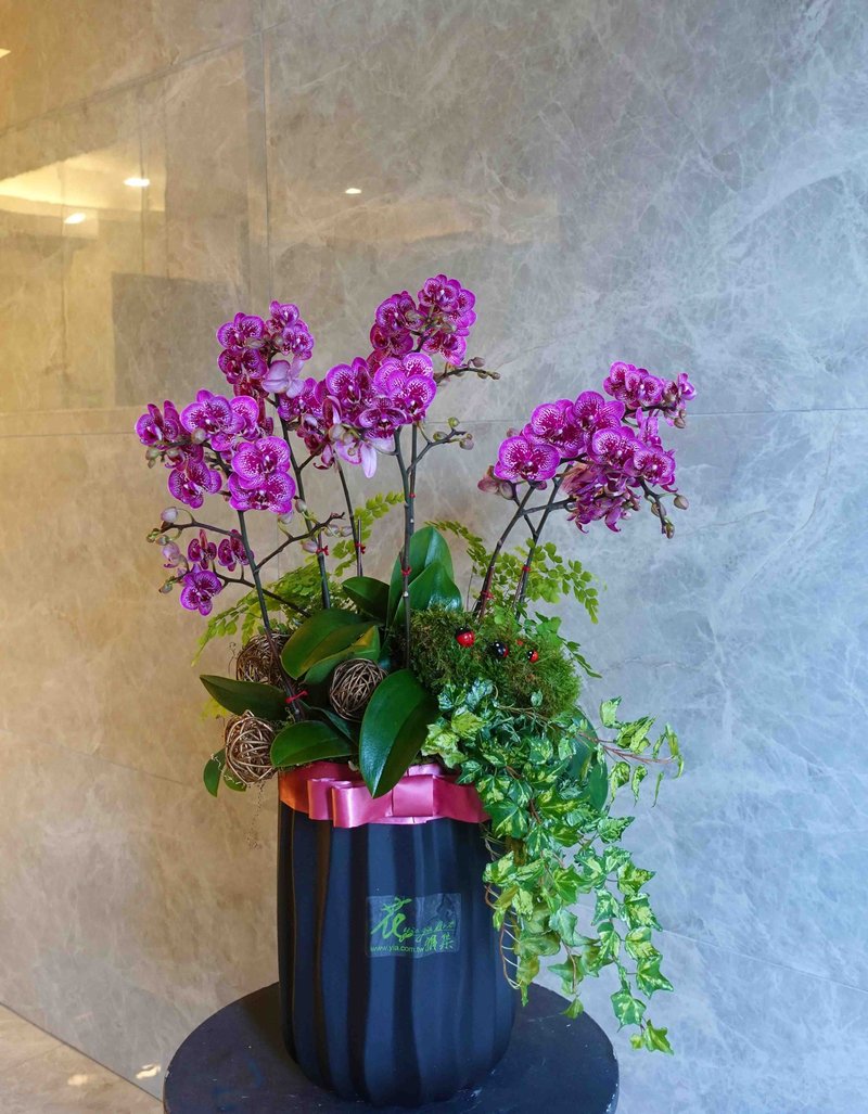 嫣红雅致 - 植栽/盆栽 - 植物．花 多色