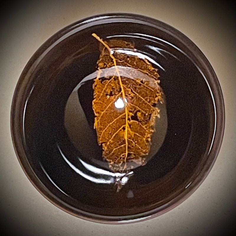 真实木叶天目茶盏-栾树叶 - 茶具/茶杯 - 其他材质 