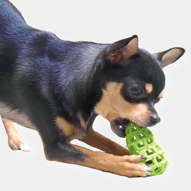 【日本 DoggyMan】最适合狗狗的玩具 ! 犬用益智橡胶玩具 | 多款可选 - 玩具 - 其他材质 多色