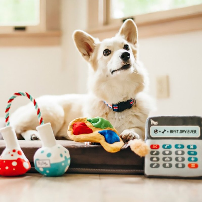 【狗狗玩具 开学季 5件组】宠物  啾啾声 抗忧解压 - 玩具 - 环保材料 