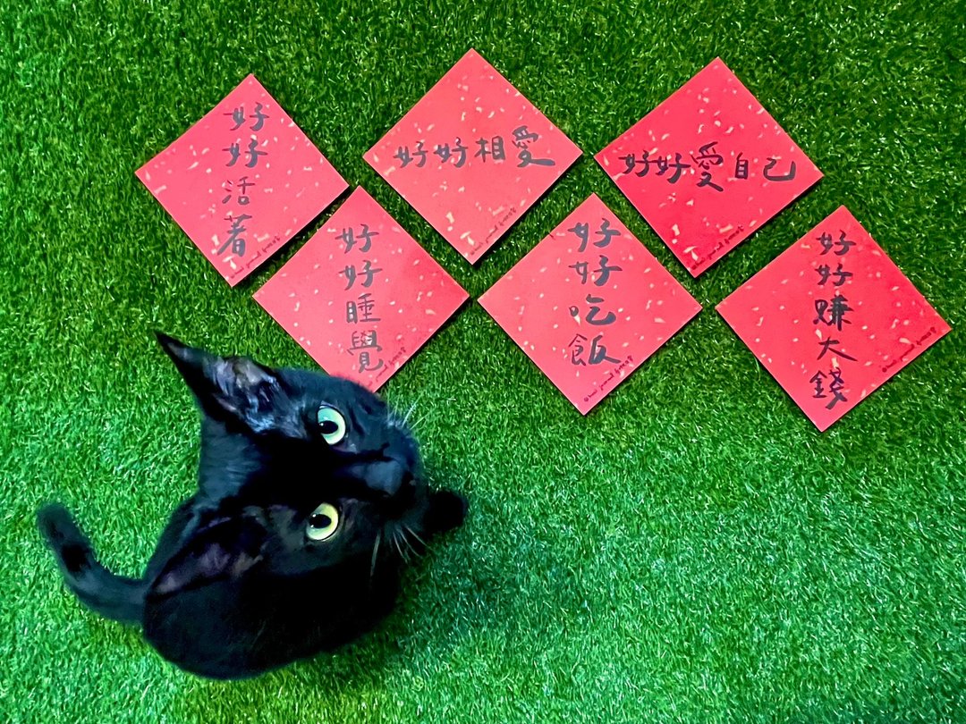 把祝福留在日常里 卉啾日常 手写设计的红色斗方系列 - 红包/春联 - 纸 红色