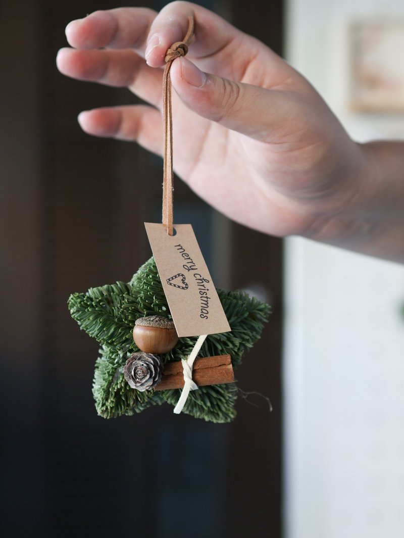 星星知我心 x 干燥诺贝松圣诞挂饰 - 干燥花/捧花 - 植物．花 