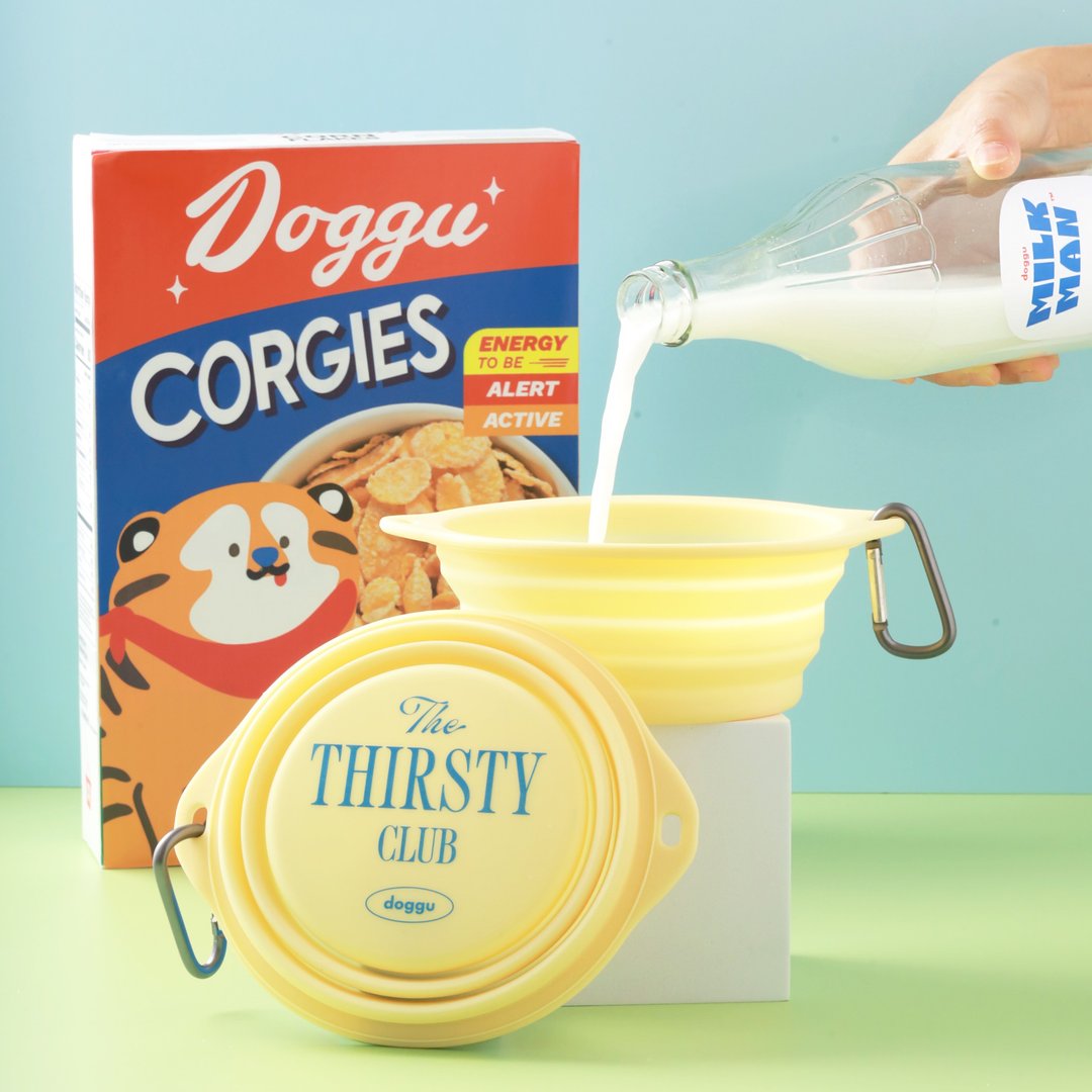 Collapsible and travel-friendly pet bowl - 碗/碗架 - 硅胶 