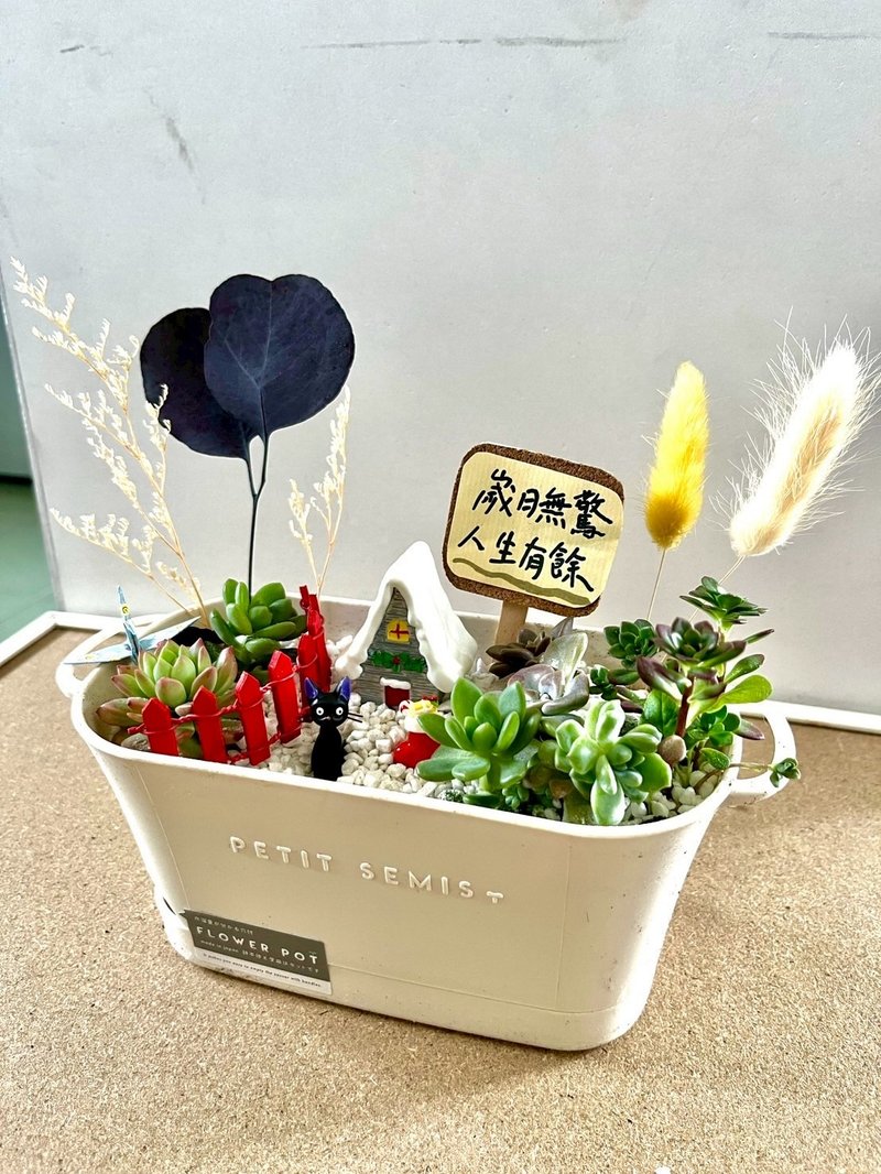多肉组盆 多肉植物 吉卜力 魔女宅急便 吉吉 ジジ 黑猫 植物盆栽 - 植栽/盆栽 - 植物．花 绿色