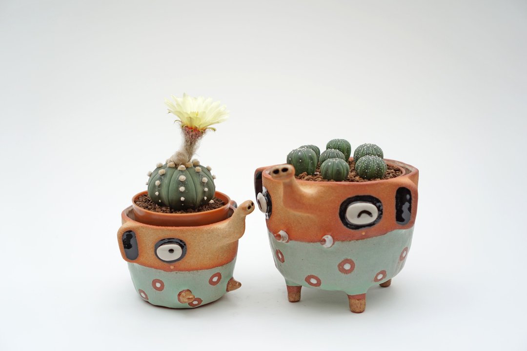 Elephant plant pots handmade ceramics - 植栽/盆栽 - 陶 蓝色