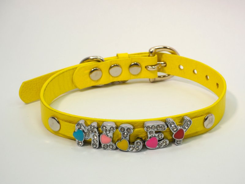 高级小羊皮手工名牌项圈 - 项圈/牵绳 - 真皮 黄色