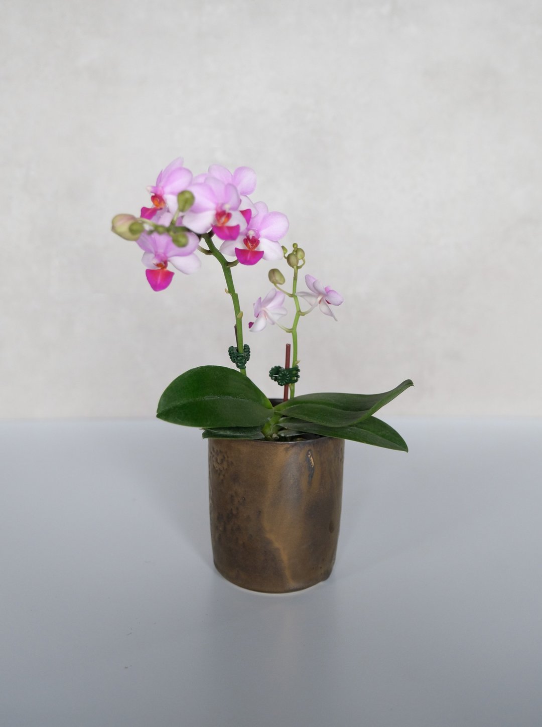 小兰花花器 - 花瓶/陶器 - 瓷 咖啡色