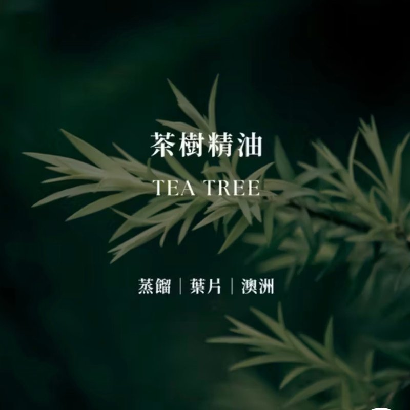 茶树精油 | Tea Tree Essential Oil | 天然抗菌 抗痘急救 - 香薰/精油/线香 - 精油 