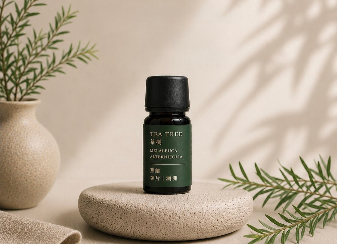 茶树精油 | Tea Tree Essential Oil | 天然抗菌 抗痘急救 - 香薰/精油/线香 - 精油 
