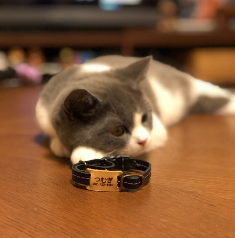 真皮猫项圈，附姓名雕刻服务 [10种皮革颜色可选 / 提供免费缝纫线和姓名定制服务] / 日本制造 / 可作为礼物赠送 ac-128 - 项圈/牵绳 - 真皮 橘色