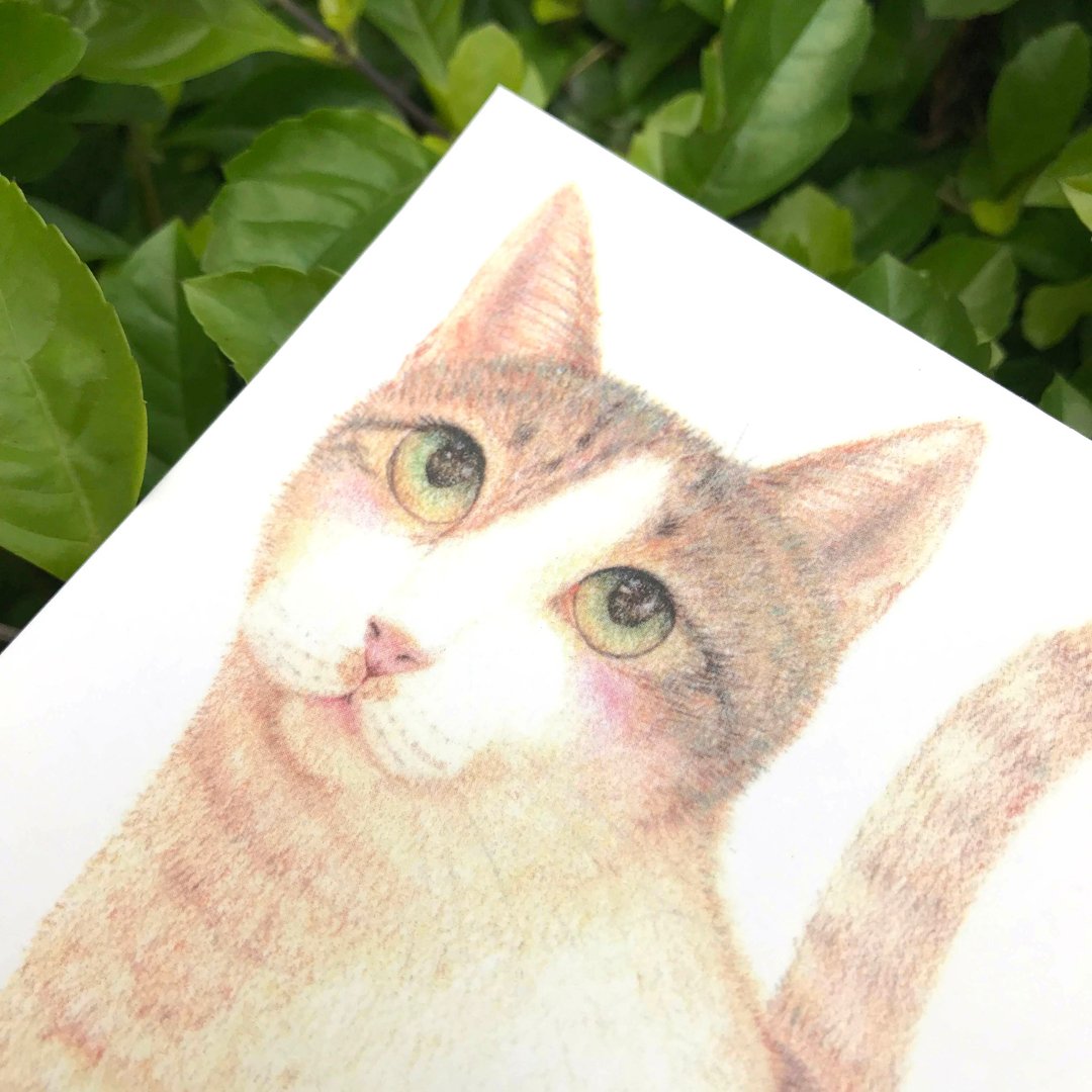 三花猫 贴纸 - 贴纸 - 纸 卡其色