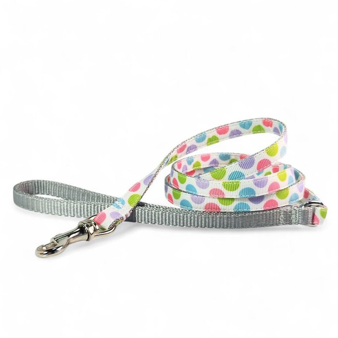 Pastel Puppy Dot 白色幼犬牵绳 宽度1cm 适用于迷你宠物 - 项圈/牵绳 - 防水材质 白色