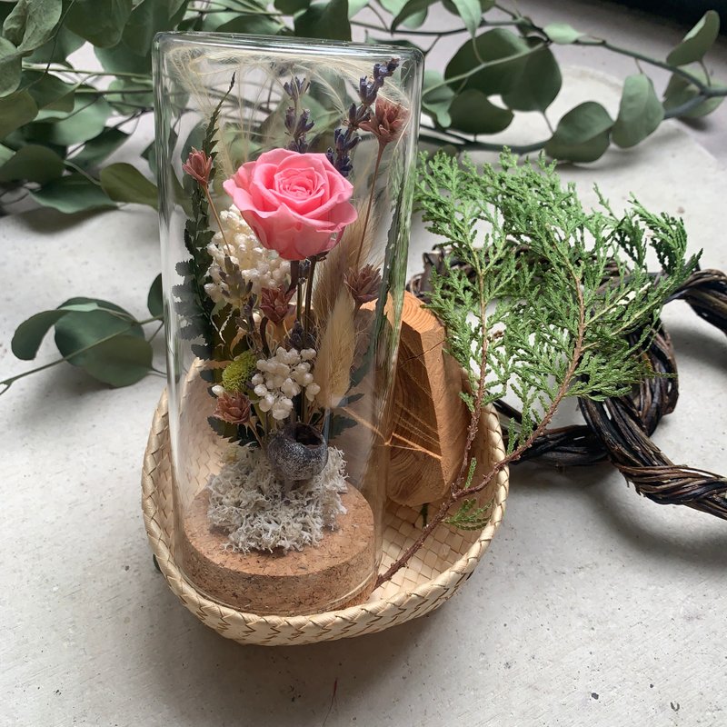 瓶中花_永生之爱 - 干燥花/捧花 - 植物．花 多色