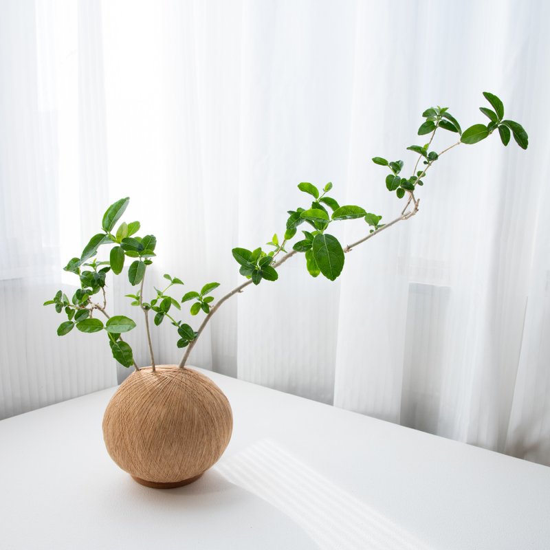 寿娘子 手作植栽苔球 - 植栽/盆栽 - 植物．花 