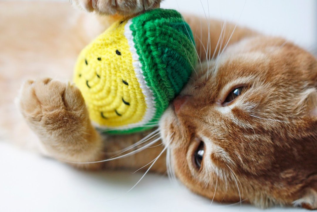 小玉西瓜 手工猫草包 猫薄荷 猫玩具 手工编织 - 玩具 - 其他材质 黄色