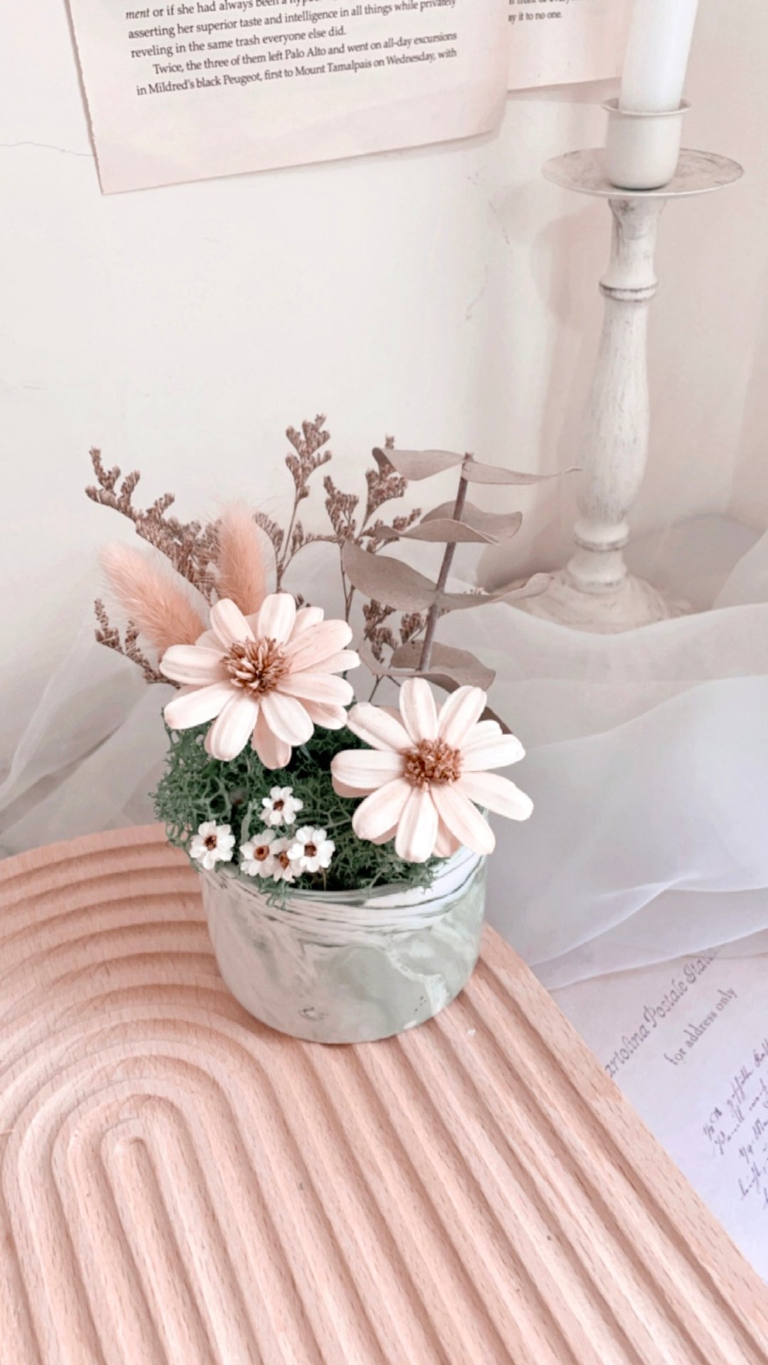 夏日棉花盆花 干燥花 婚礼小物 情人节 升迁盆花 毕业礼物 送礼 - 植栽/盆栽 - 植物．花 绿色