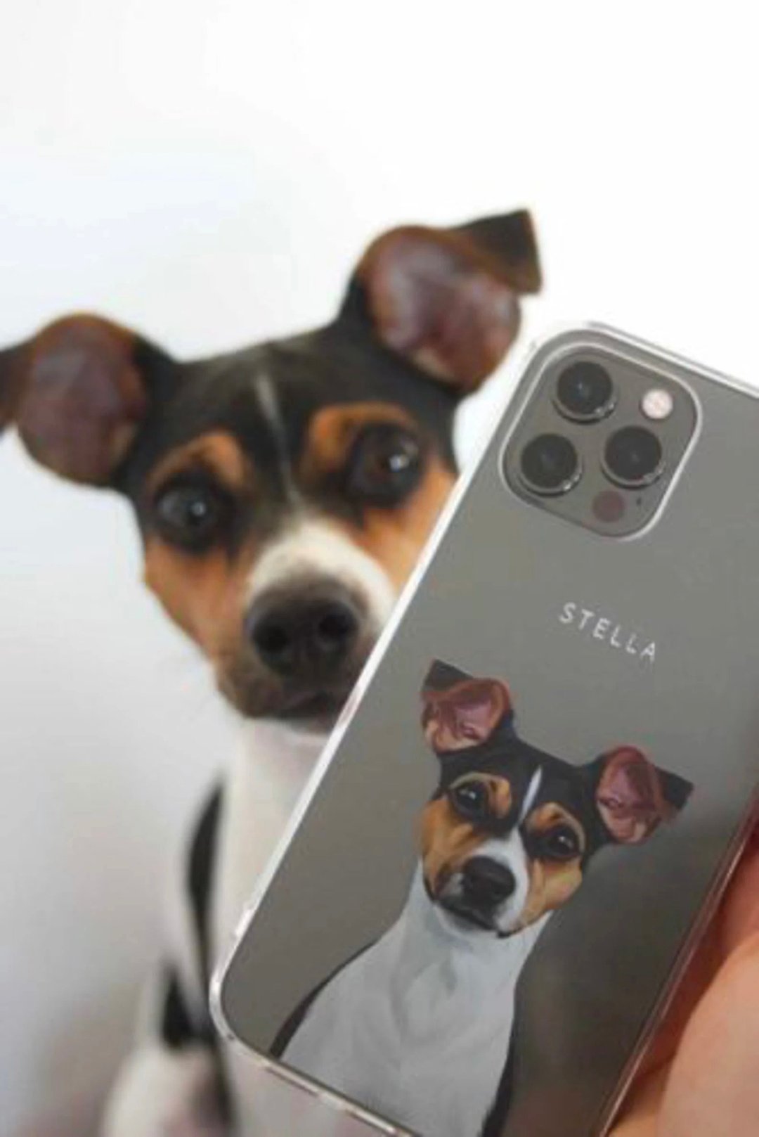 定制化手工宠物自画像手机壳 客制化手绘iPhone手机壳毛孩子肖像 - 手机壳/手机套 - 其他材质 多色