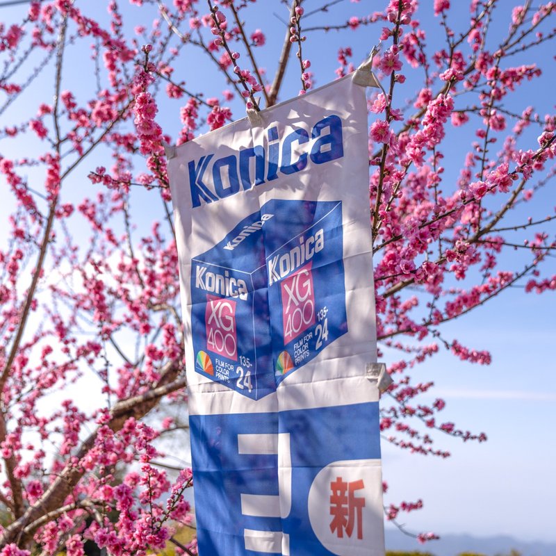桑惠商号 日本昭和 KONICA 柯尼卡 XG400 广告纪念旗帜 - 摆饰 - 丝．绢 多色
