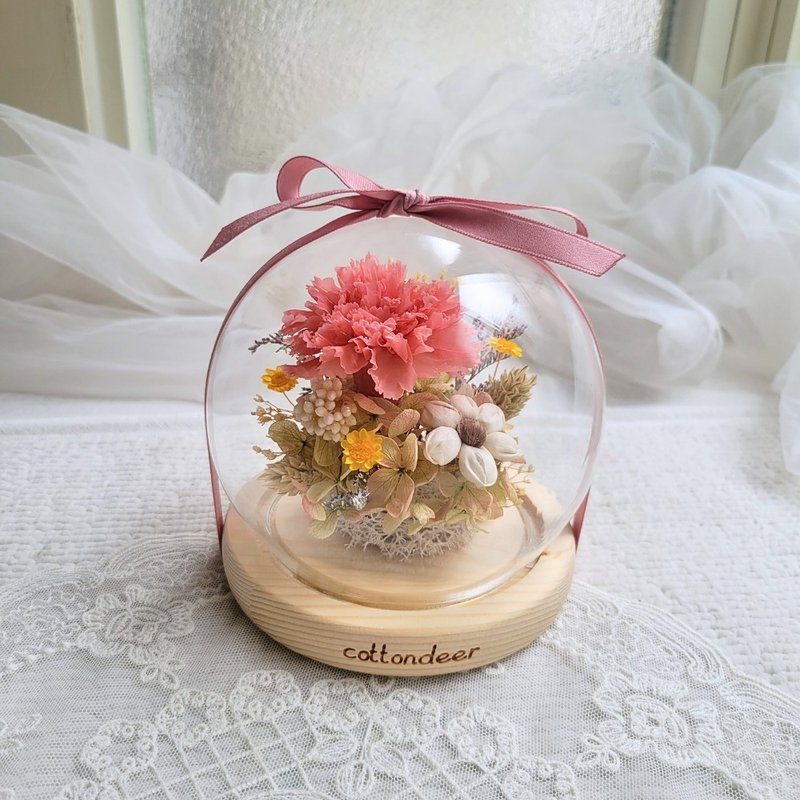 【现货】永生康乃馨玻璃球罩盅。摆饰。附包装。 - 干燥花/捧花 - 植物．花 