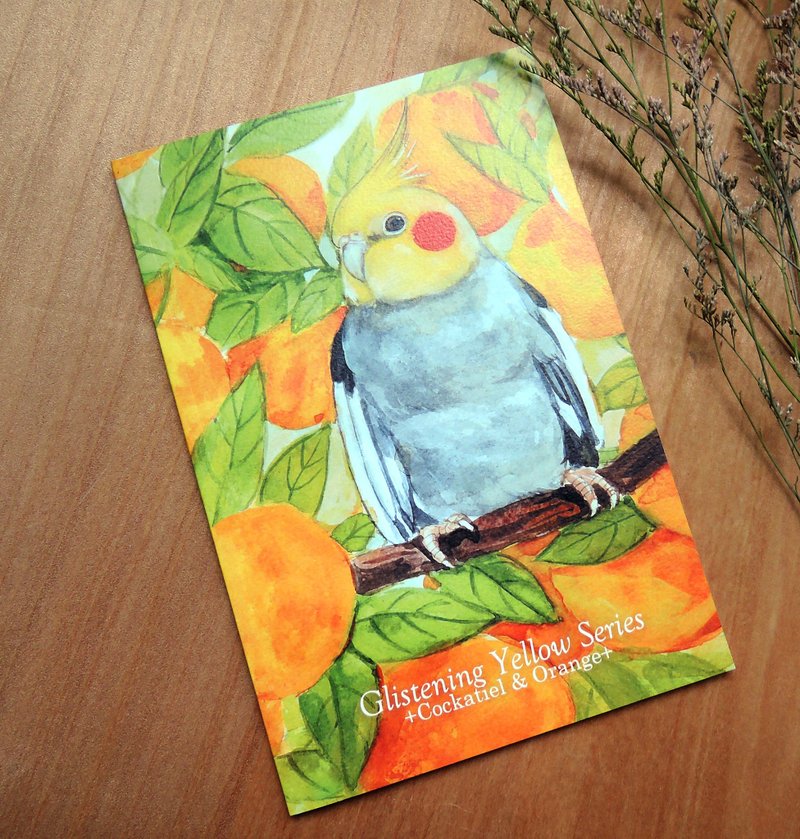 黄橙橙系列笔记本组A款 - 笔记本/手帐 - 纸 黄色