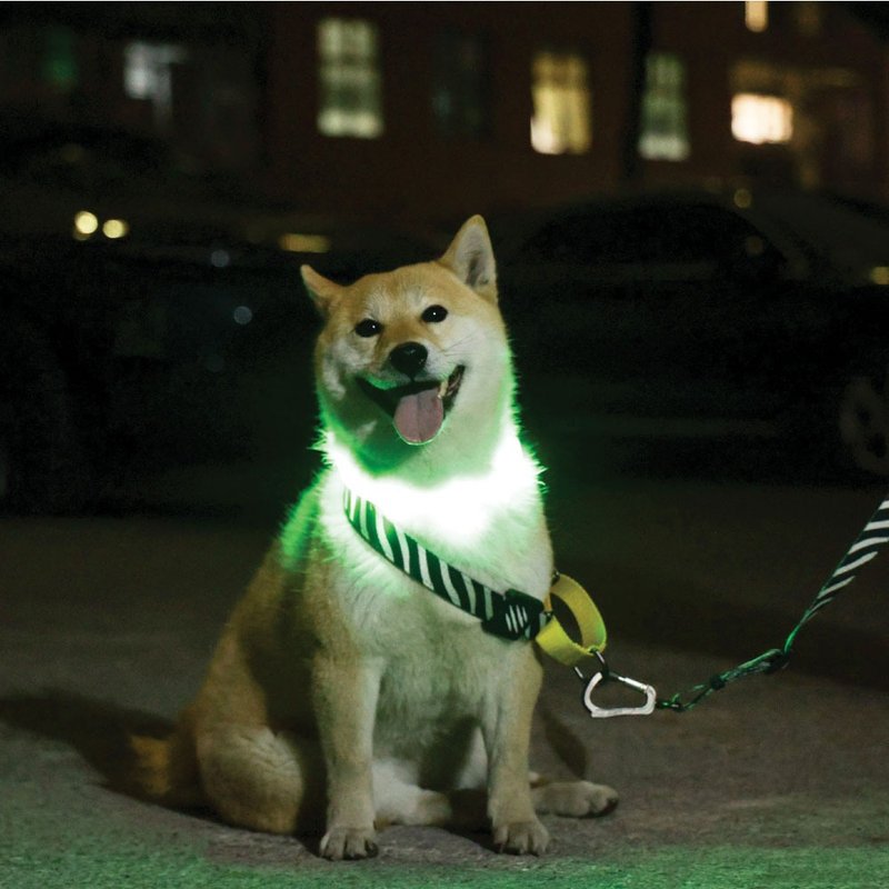 【MPETS】来场夜晚缤纷Party! 犬用LED发光项圈 - 项圈/牵绳 - 其他材质 多色