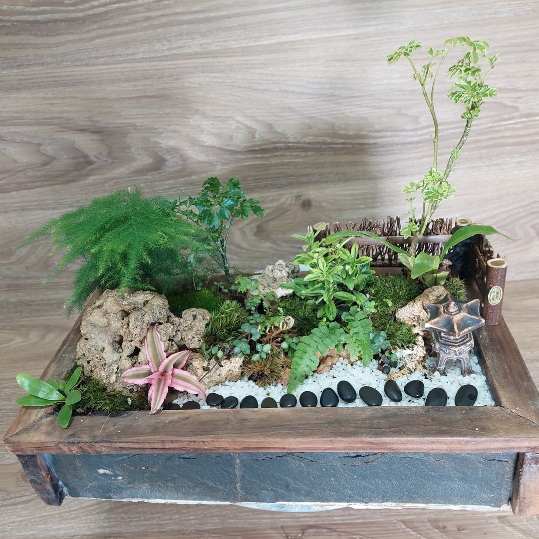 和风庭园组景 AJ-3015        小巧庭园构思和风意境 - 植栽/盆栽 - 玻璃 