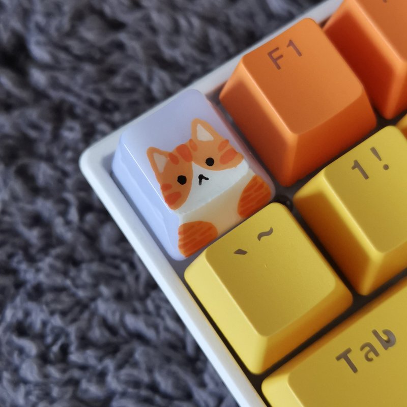 OEM keycap orange cat saddle pattern - 电脑配件 - 塑料 透明