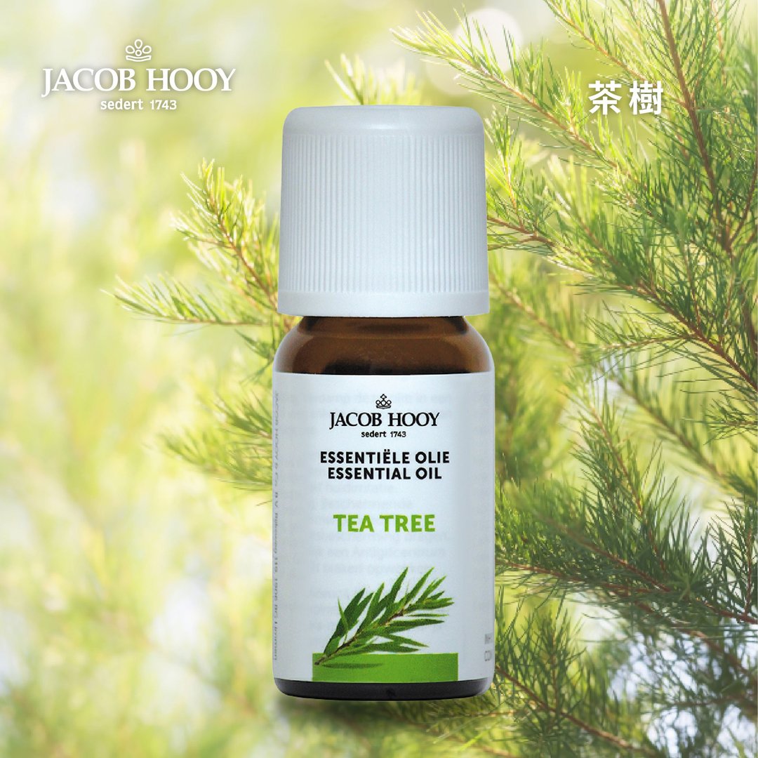 Jacob Hooy雅歌布霍伊 | 茶树精油 100%纯精油 扩香 水氧 芳疗 - 香薰/精油/线香 - 精油 