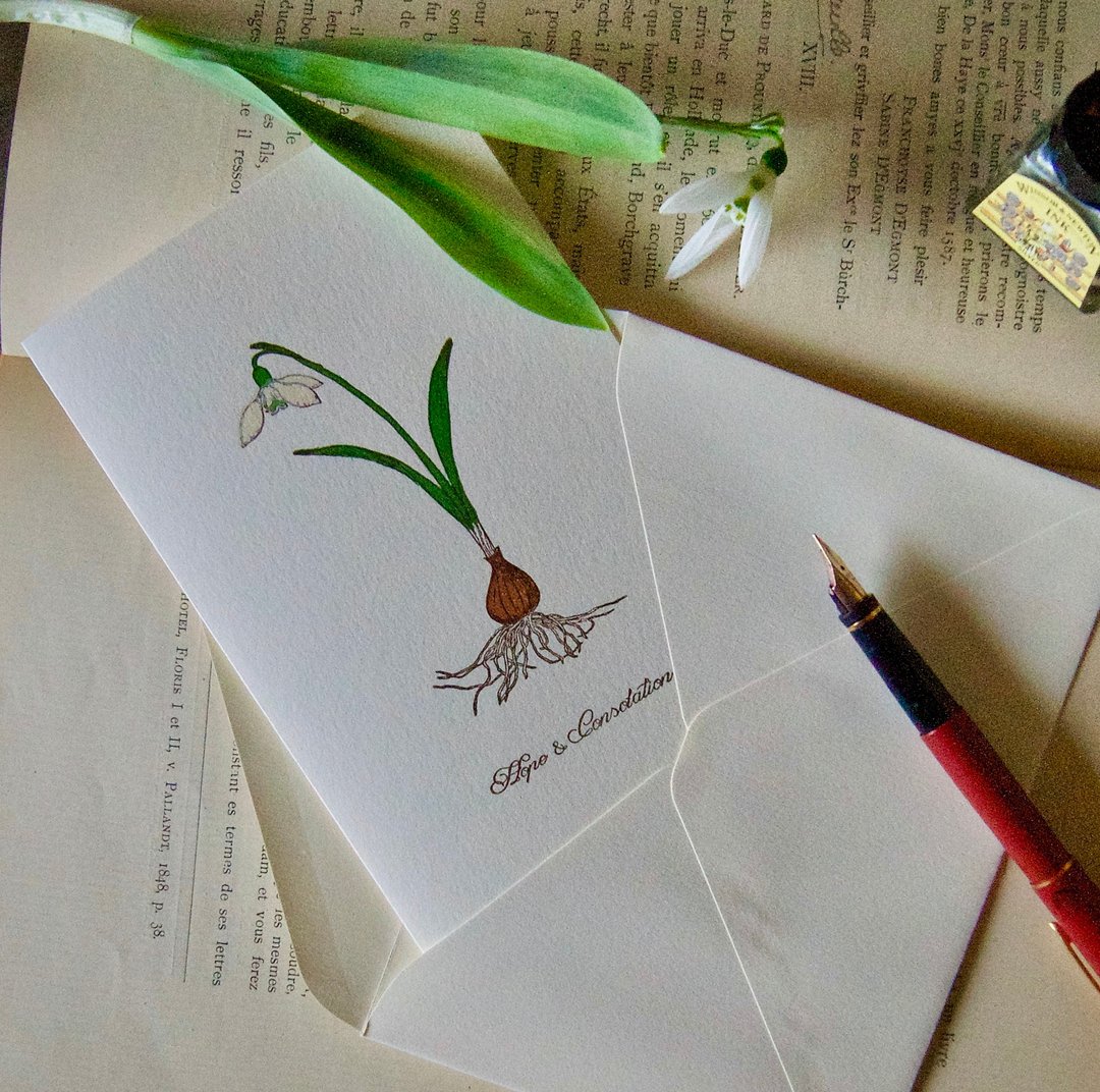 [Greeting Card] Snowdrop / Letterpress / 1 Card, 1 Envelope / 105 x 155 mm - 卡片/明信片 - 纸 
