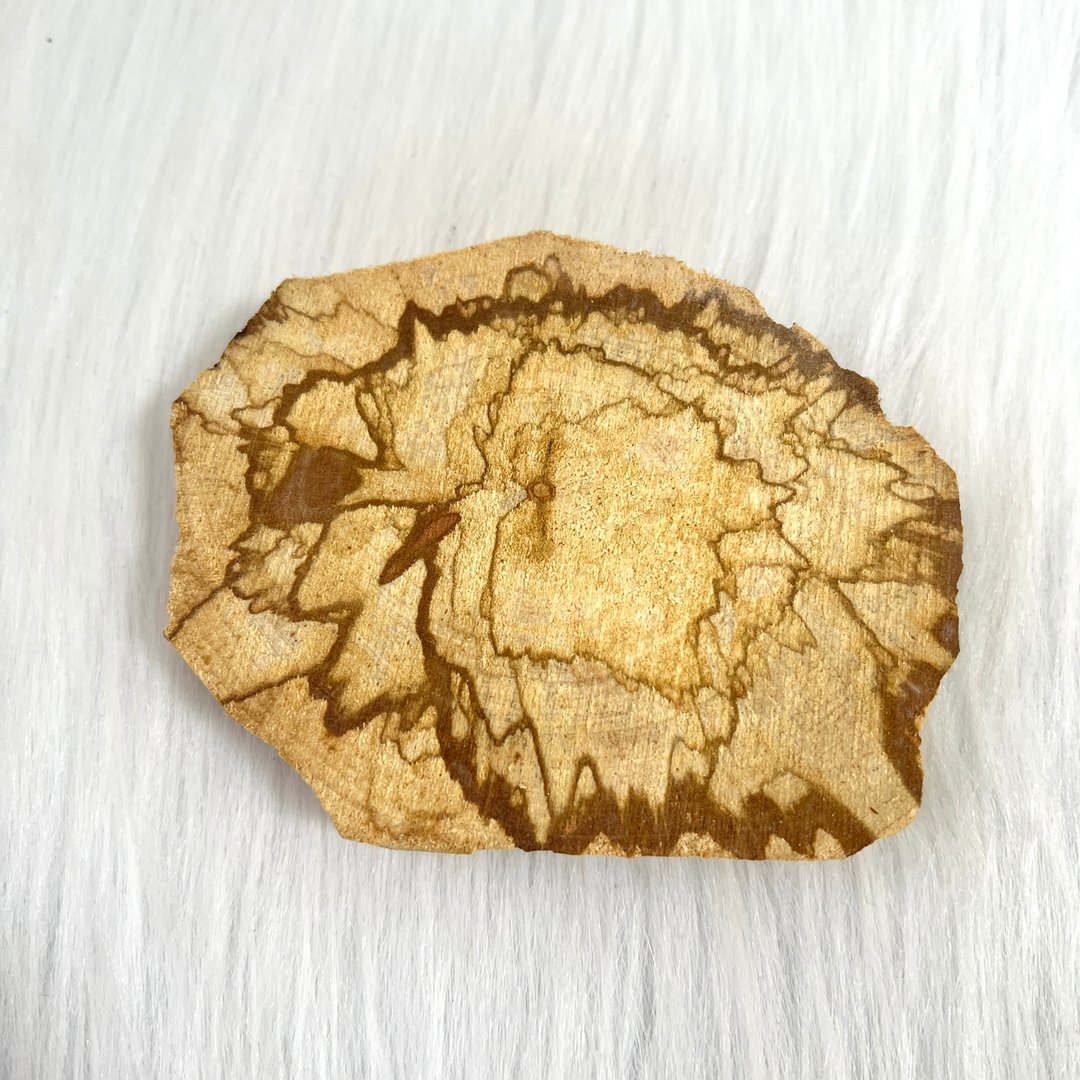 高油份秘鲁圣木片 | 身心灵产品 - 香薰/精油/线香 - 木头 咖啡色