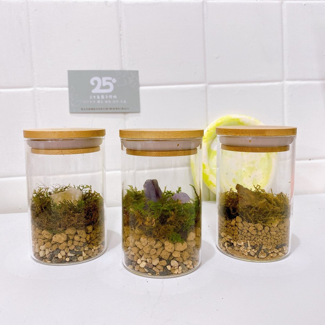 水晶苔藓生态瓶 生态瓶 微景观 水晶盆景 办公室小物 植栽 绿植 - 植栽/盆栽 - 植物．花 透明