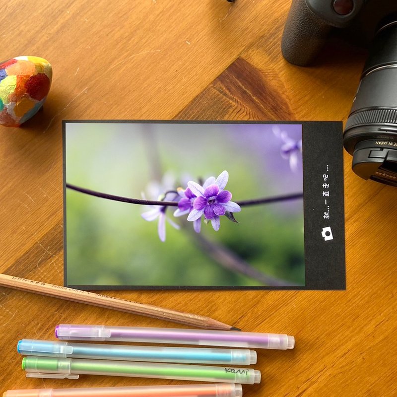 手工限量明信片-许愿藤花语/台湾小物摄影 - 卡片/明信片 - 纸 多色