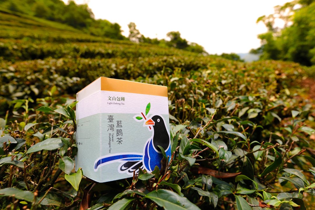 【台湾蓝鹊茶】文山包种 (随身茶包10入) - 茶 - 新鲜食材 绿色