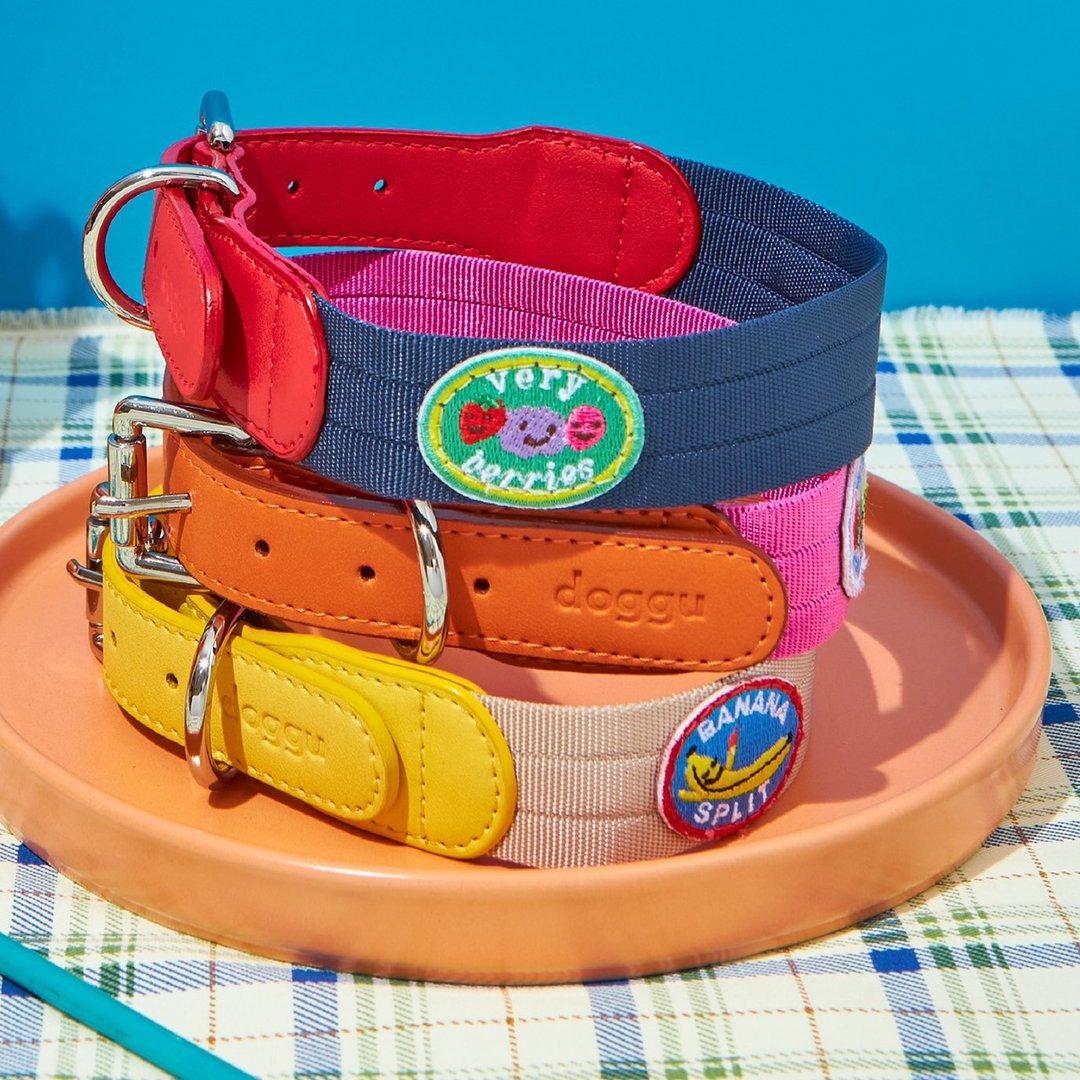 FROYO Collar for DOG - 项圈/牵绳 - 尼龙 