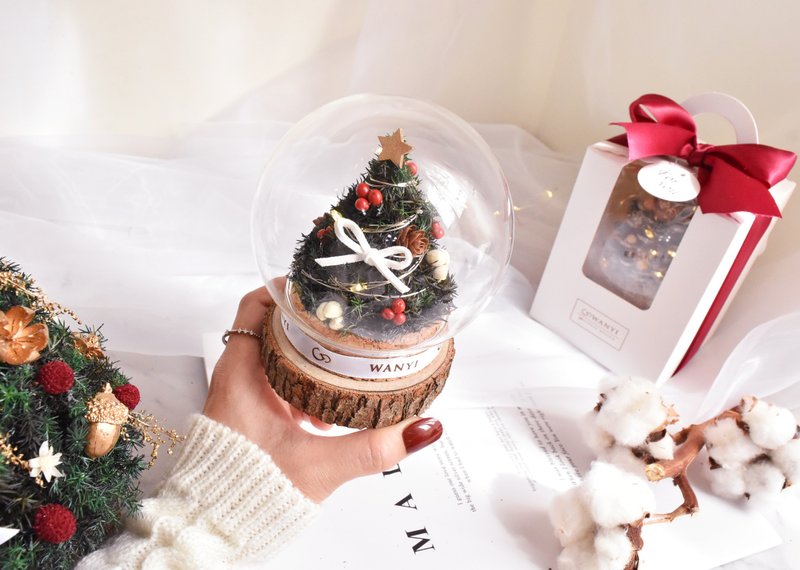 魔法球圣诞树玻璃罩 永生花 干燥花 圣诞节  附圣诞包装 交换礼物 - 灯具/灯饰 - 植物．花 绿色