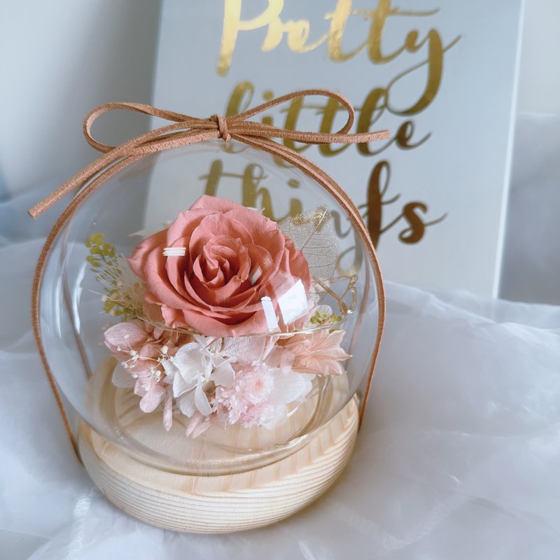 午后蜜桃 永生玫瑰玻璃盅 永生花钟罩 生日 告白 纪念日 圣诞节 - 干燥花/捧花 - 植物．花 粉红色