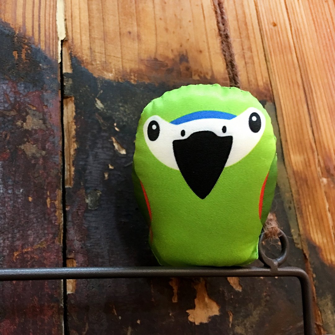 DIY手作鹦鹉 ∣ 红肩金刚 Macaw · 纸镇手作材料包 - 其他 - 其他材质 绿色